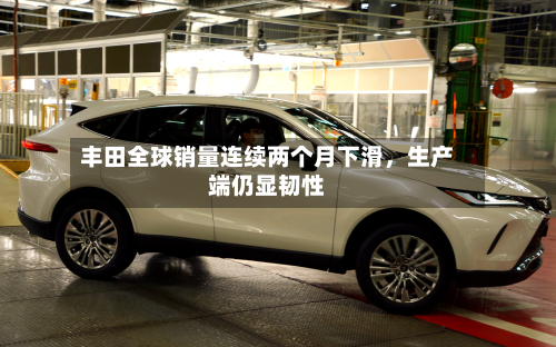 丰田全球销量连续两个月下滑	，生产端仍显韧性-第2张图片