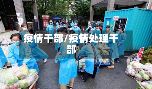 疫情干部/疫情处理干部-第1张图片