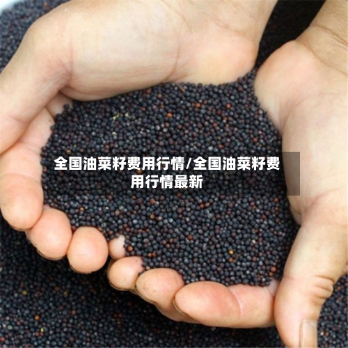 全国油菜籽费用行情/全国油菜籽费用行情最新-第2张图片