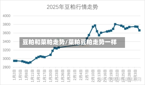 豆粕和菜粕走势/菜粕豆粕走势一样-第1张图片