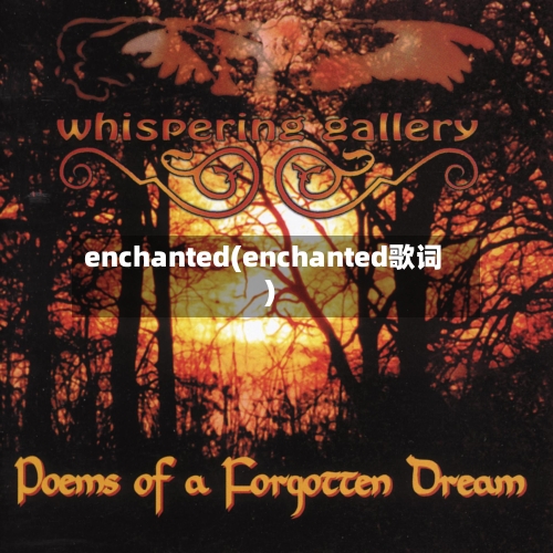 enchanted(enchanted歌词)-第2张图片