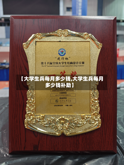 【大学生兵每月多少钱,大学生兵每月多少钱补助】-第1张图片