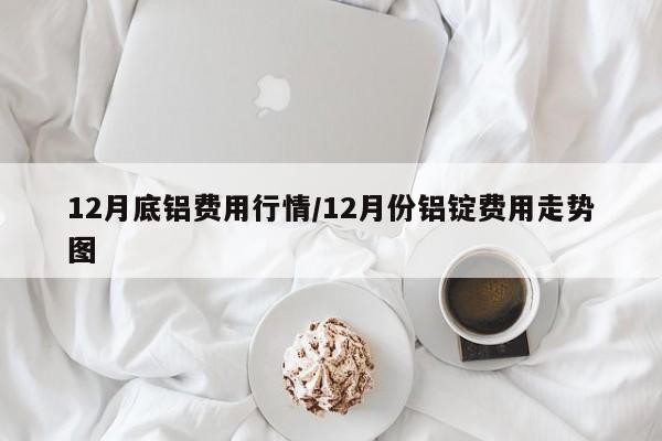 12月底铝费用行情/12月份铝锭费用走势图