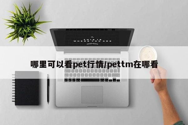 哪里可以看pet行情/pettm在哪看